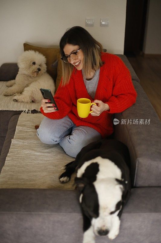 Women work at home pet sitter